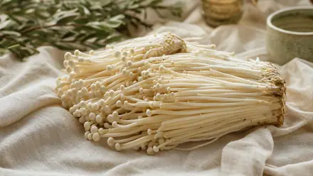 Frische Enoki-Pilze (Flammulina velutipes) mit langen, schlanken weißen Stielen und kleinen Hüten auf hellem Leinen.