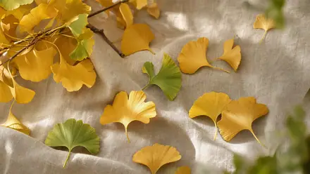 Goldene und grüne Ginkgo-Blätter auf hellem Leinen.